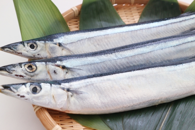 青魚とはどんな魚 種類を一覧表で紹介 特徴や栄養 白身魚との違い 田楽ブログ